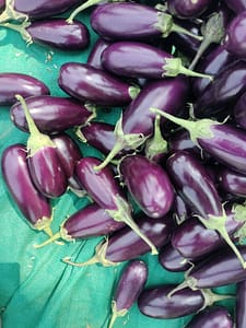 491277445_3931314727183028_7361470738162105358_n-225x300 বারোমাসি সবজি তালিকা | কোন মাসে কোন সবজি ও ফল চাষ করবেন