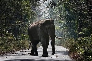 469893783_1127573625744147_367939999037267650_n-300x200 পশ্চিমবঙ্গের শীর্ষ পর্যটন কেন্দ্র