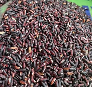 black-rice-300x284 ৬৫০ % রিটার্ন কামিয়েছ্ন এই গুজরাতি মাহিলা