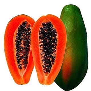 bn-300x300 পেঁপে বীজ অবশ্যই শোধন করে চারা করতে হবে।