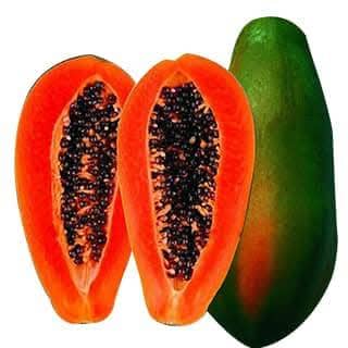 bn-300x300 পেঁপে বীজ অবশ্যই শোধন করে চারা করতে হবে।